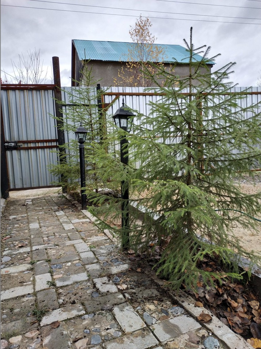 Дорожка с освещением из брусчатки и булыжников - фото 6