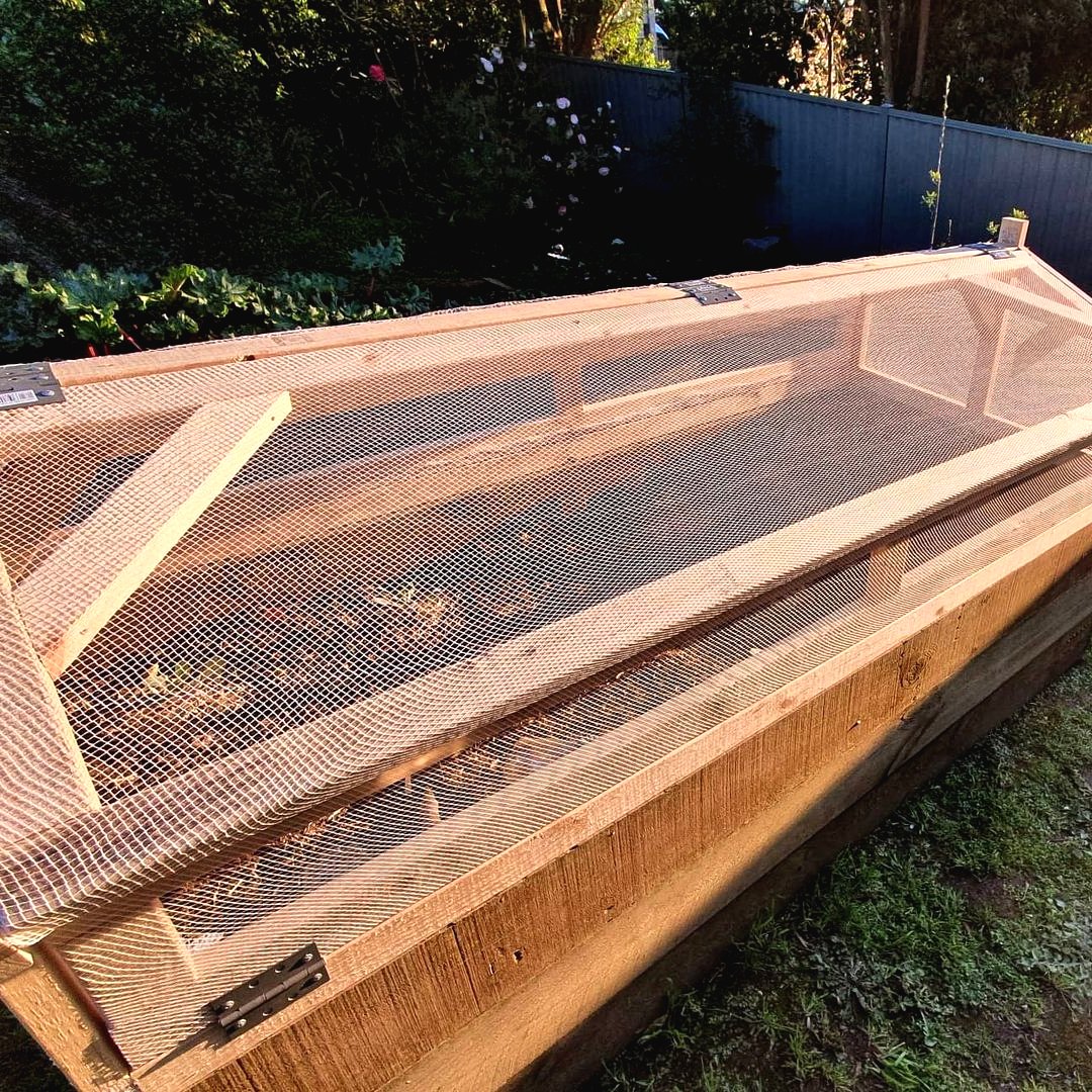 Высока грядка с защитой от улиток - фото 11