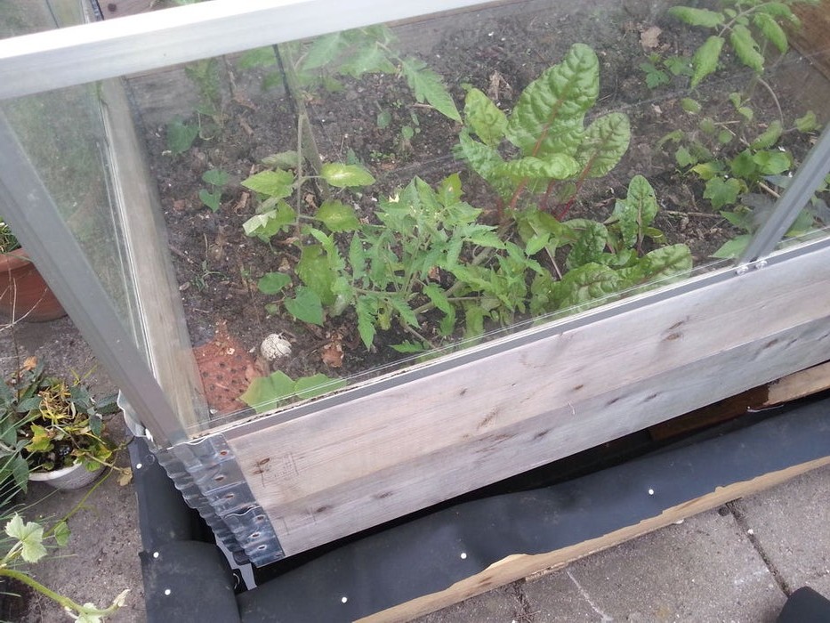 Мини-теплица с системой природного полива - фото 7