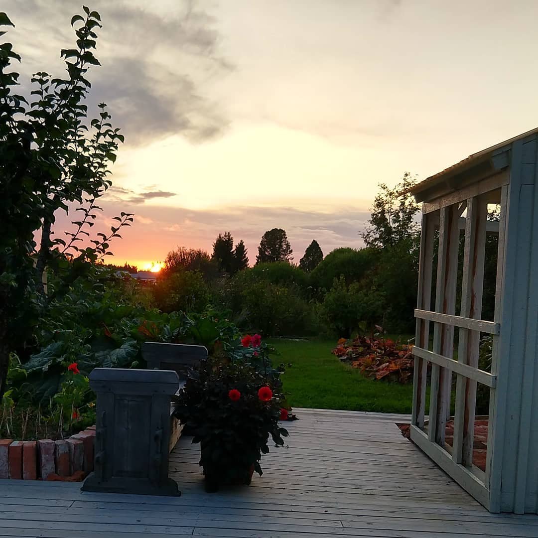 Небольшая оранжерея из старых окон - фото 6