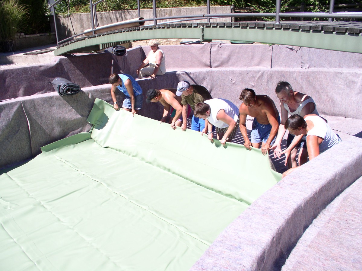 Пруд с мостом через него - фото 6