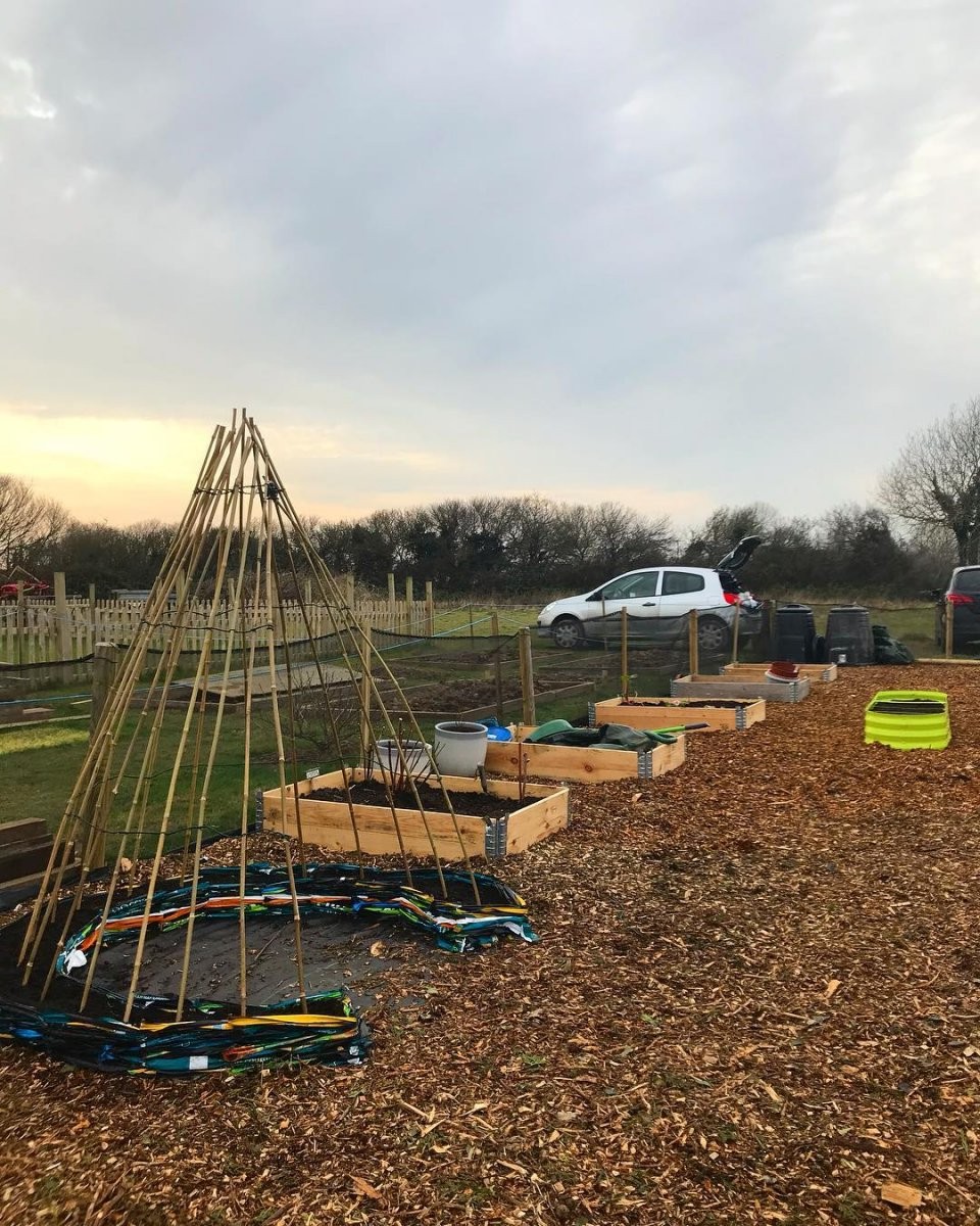 Сезонная грядка - фото 5