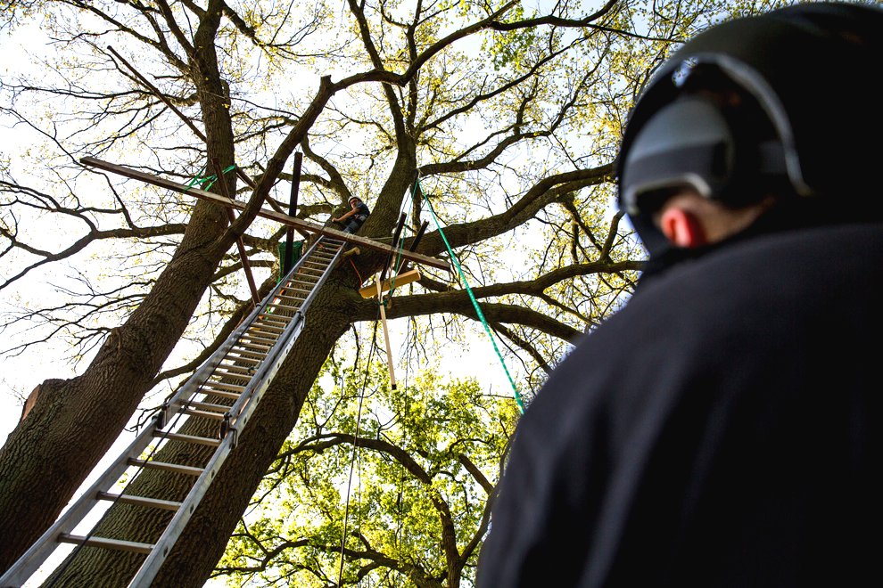 Оригинальный домик на дереве - фото 3