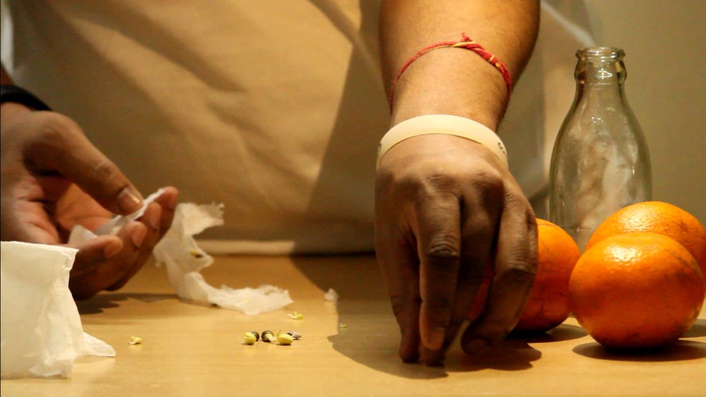 Как вырастить апельсиновое дерево из семян - фото 14