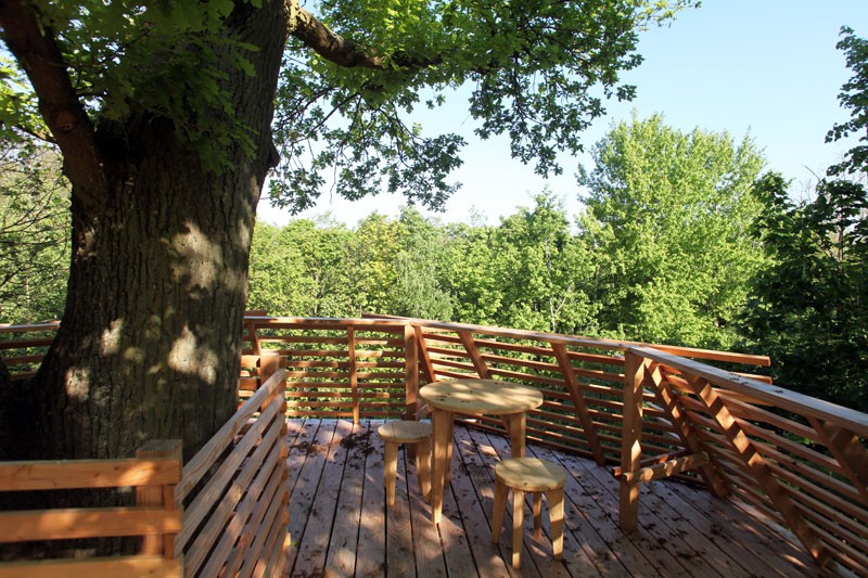 Домик на дереве вашей мечты - фото 8