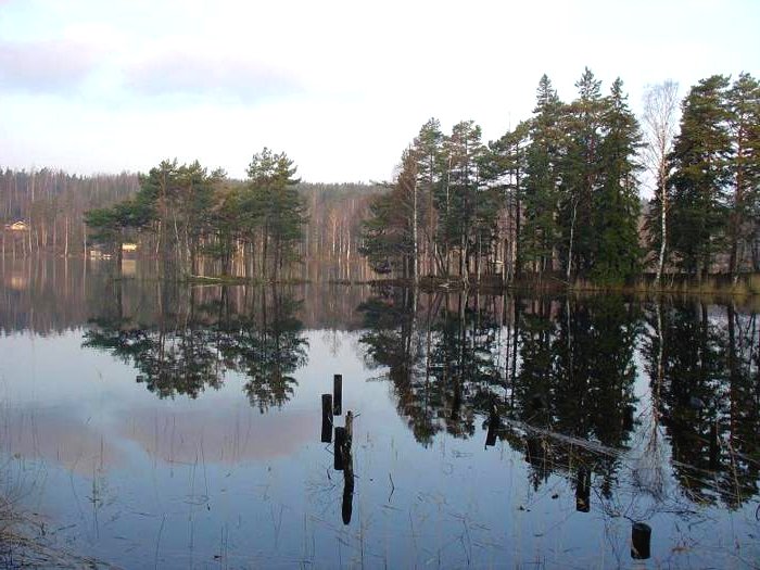 Деревянный дом - фото 2