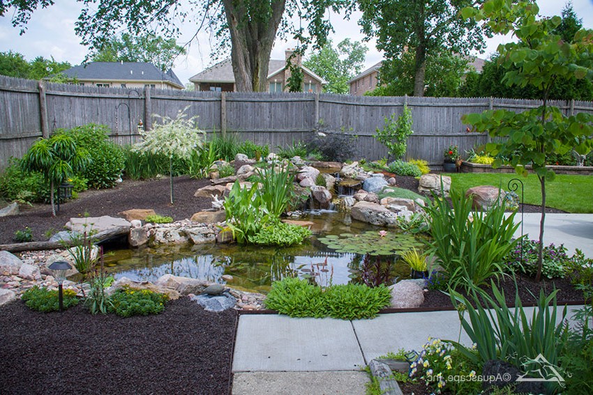 Водный сад - фото 2