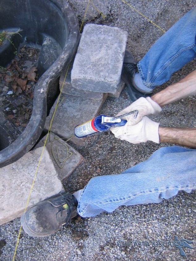 Небольшой пруд - фото 4