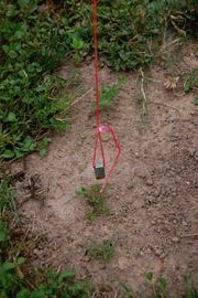 Пергола из железных профилей - фото 14