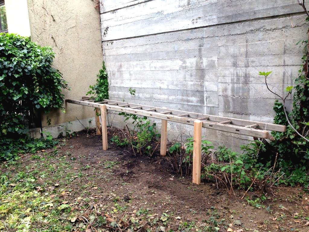 Шпалера из старой деревянной лестницы - фото 5