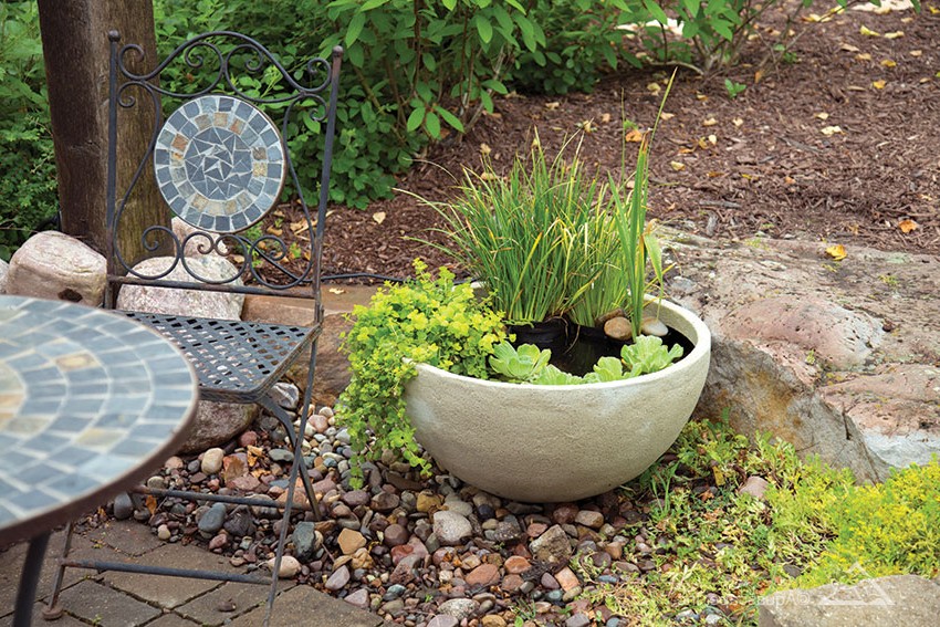 Мини пруд - фото 5