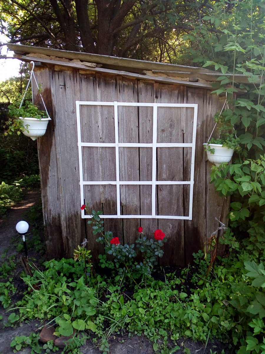 Украшение стенки погреба - фото 4