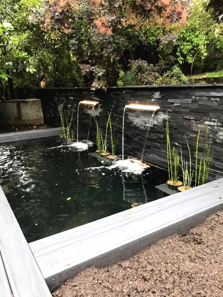 Как облагородить старый пруд - фото 17