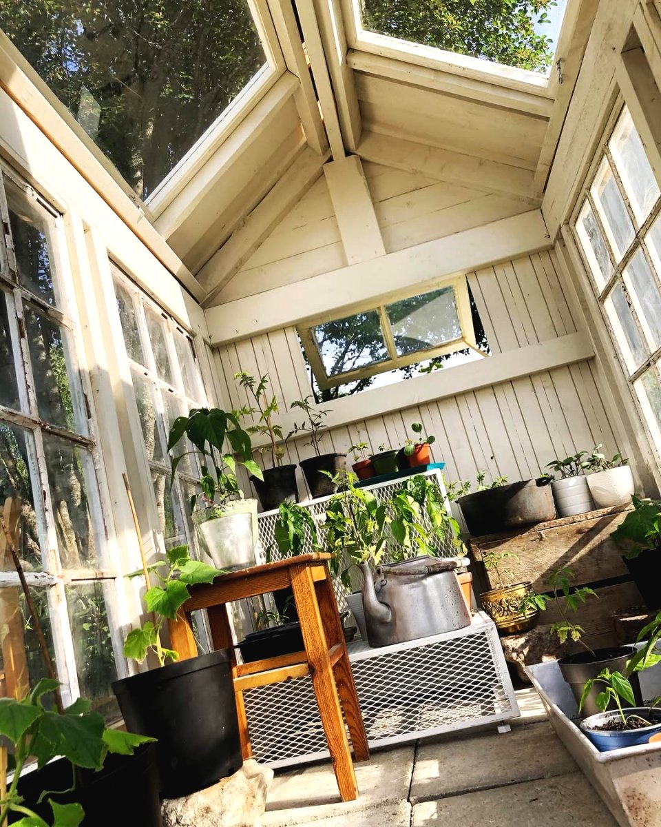 Теплица своими руками: создай идеальный уголок для растений! - фото 6