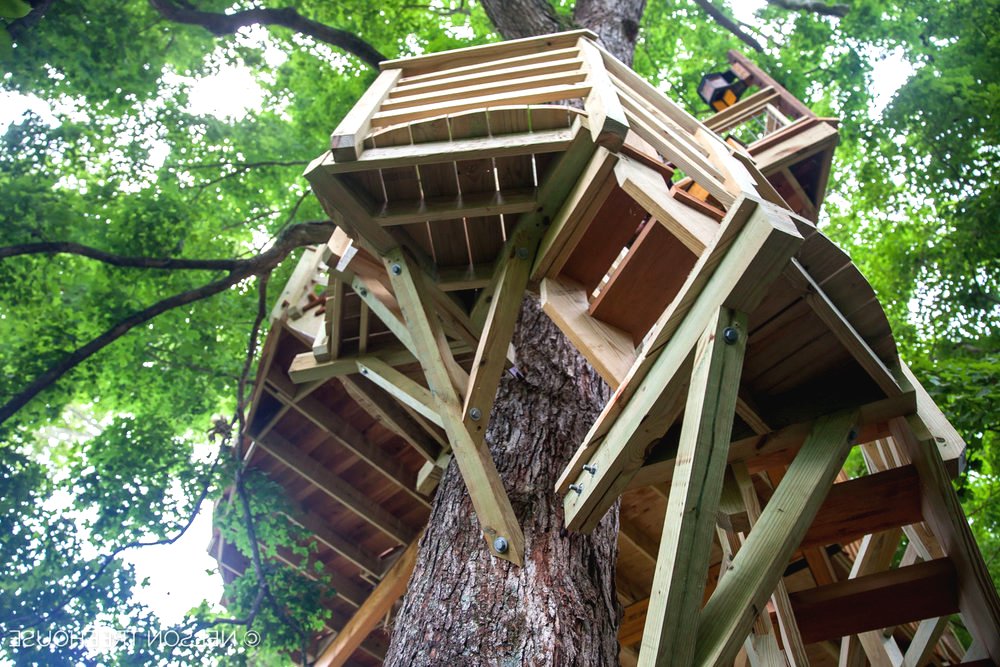 Домик на дереве - фото 11