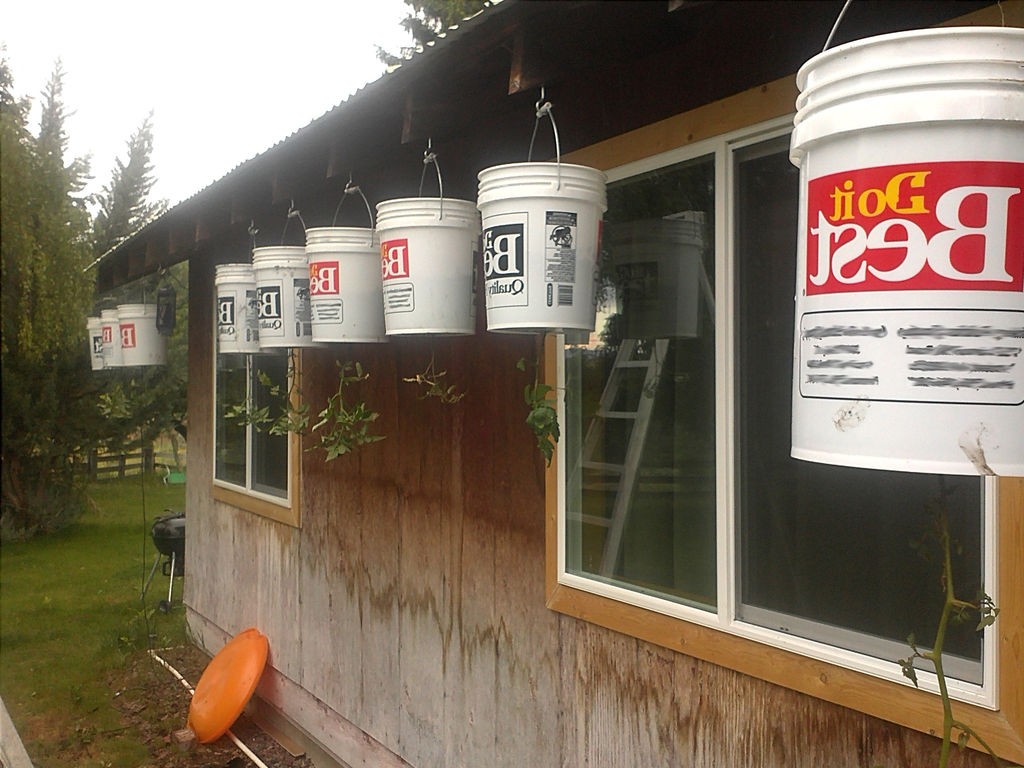 Посадка помидоров - фото 2