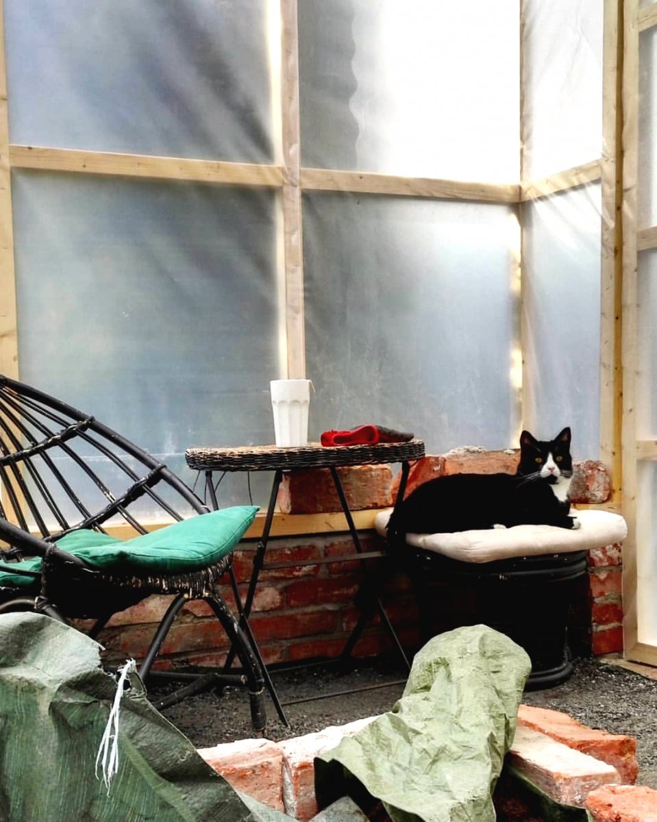 Пленочная теплица на деревянном каркасе - фото 7