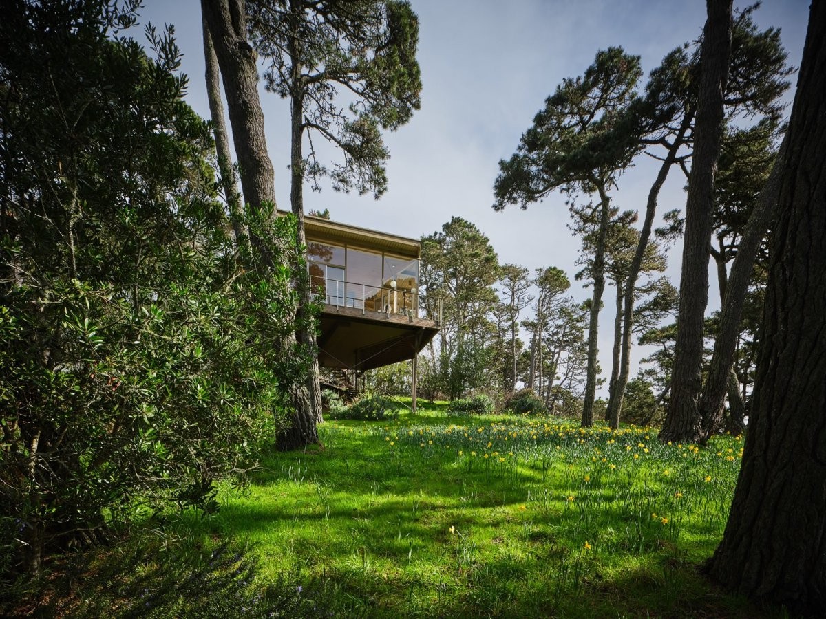 Дом на сваях. - фото 2