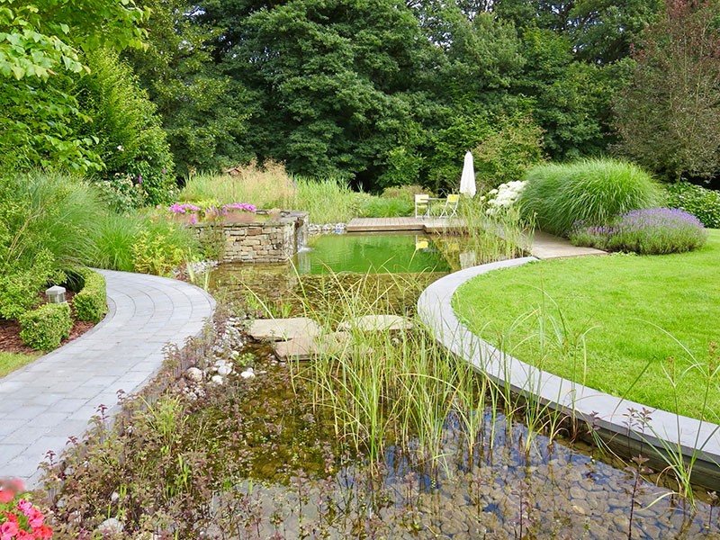 Естественный пруд - фото 4