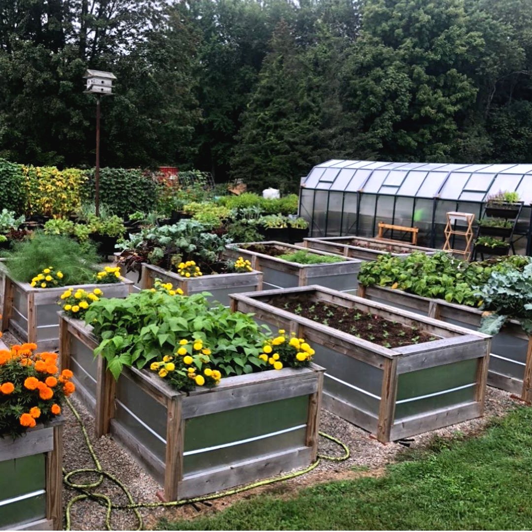 Оцинкованные грядки своими руками - фото 11