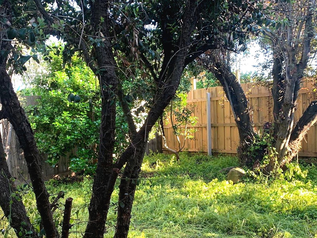 Как оформить зону отдыха на даче своими руками? - фото 5