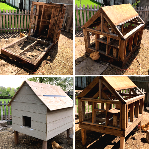 Небольшой курятник - фото 4