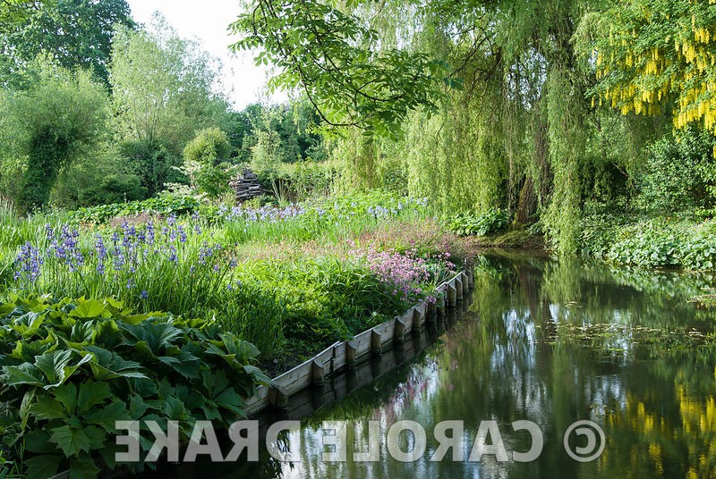 Сад в котором иглу из пустых бутылок вина - фото 14