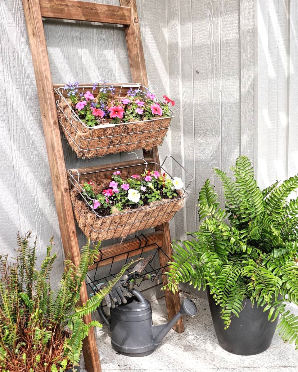 Оригинальные идеи для вертикального сада - фото 8