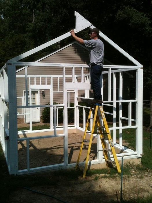 Оранжерея - фото 12