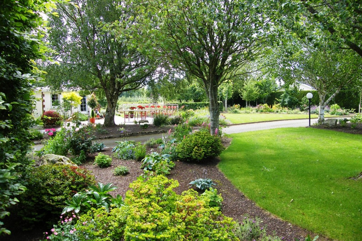 Сельский сад - фото 2