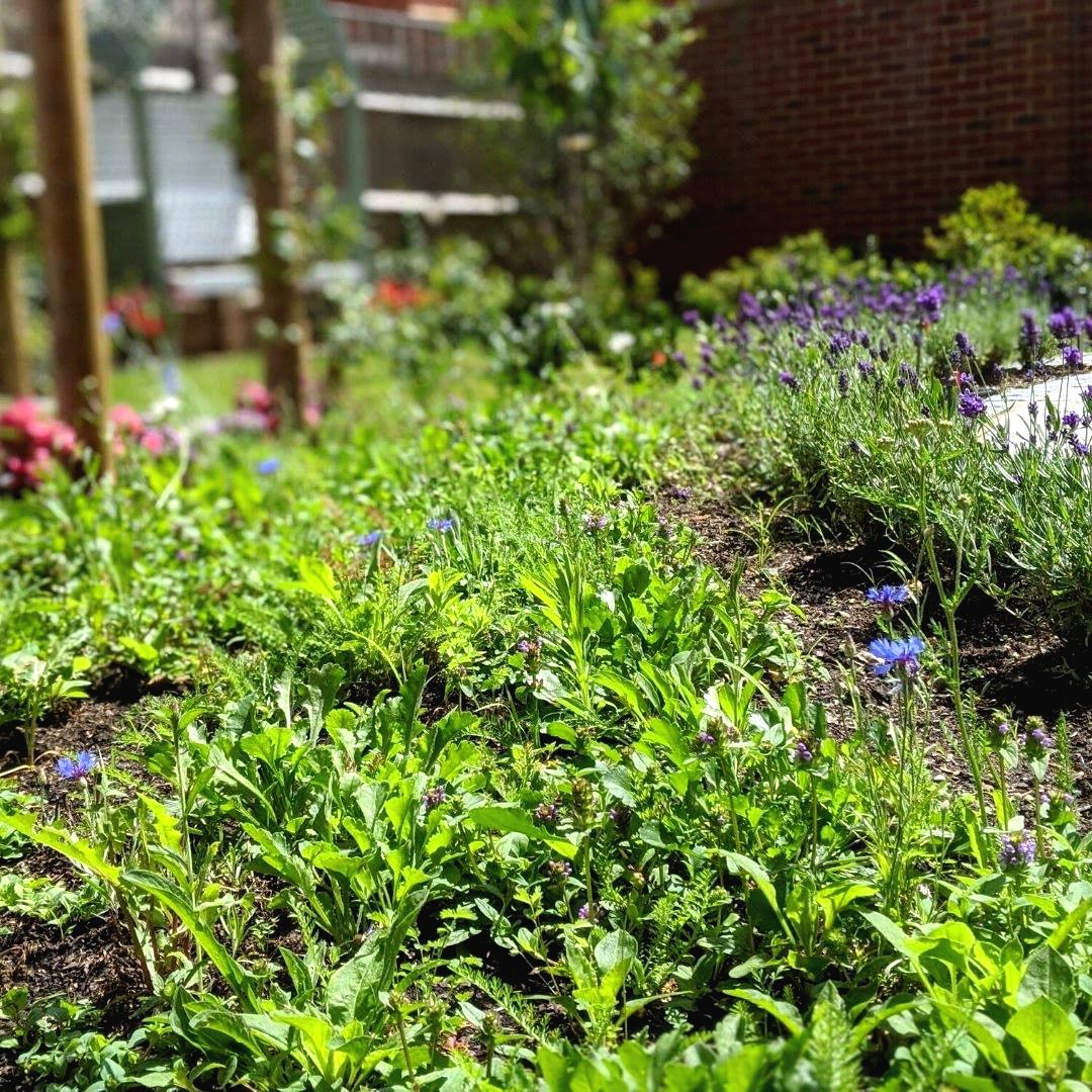 Ландшафтный дизайн дачного участка - фото 10