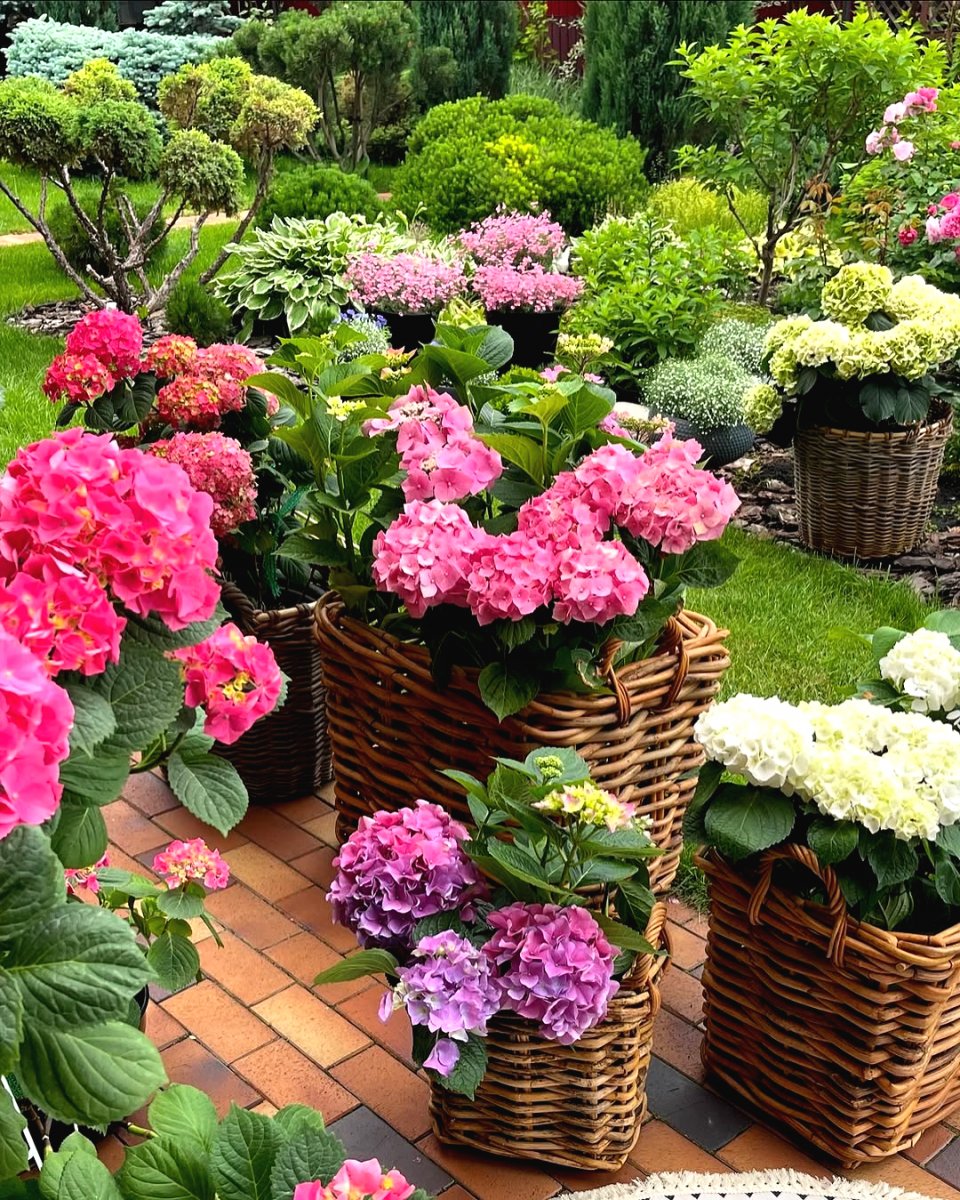 Ландшафтный дизайн небольшого сада - фото 12