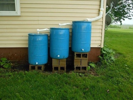 Сбор и хранение дождевой воды в пластиковых бочках - фото 2