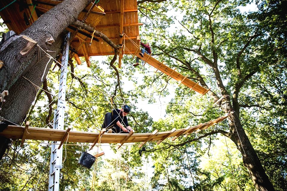 Оригинальный домик на дереве - фото 25