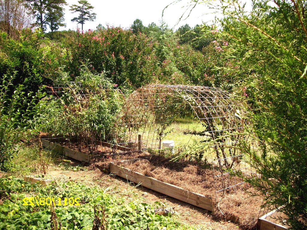 Простая беседка из металлической сетки - фото 2