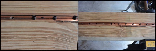 Тропический душ - фото 8