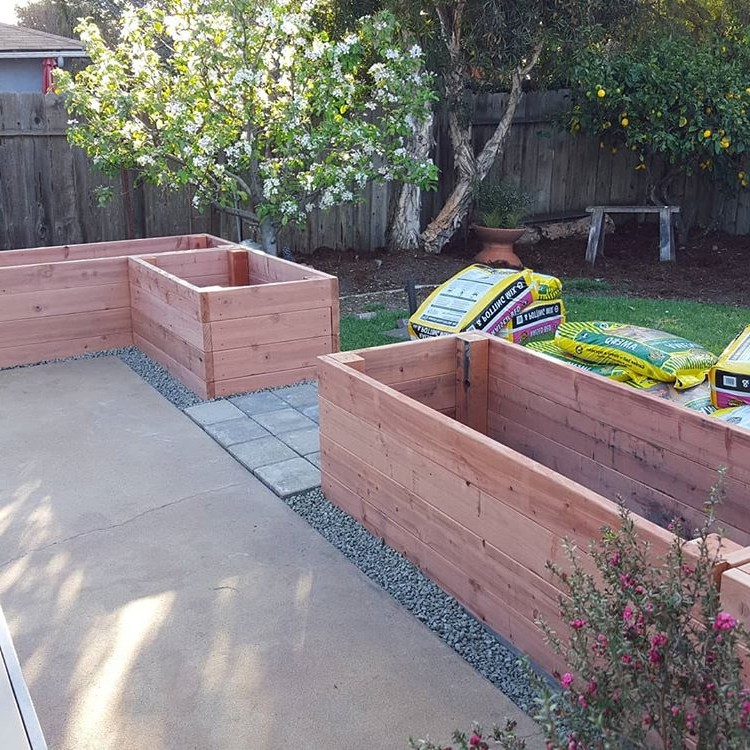 Садовая грядка - фото 2