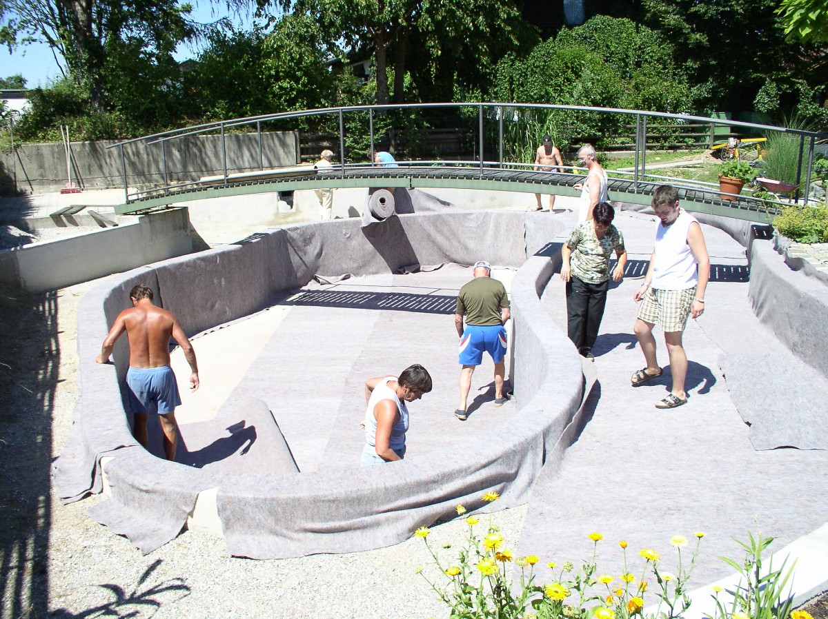 Пруд с мостом через него - фото 5
