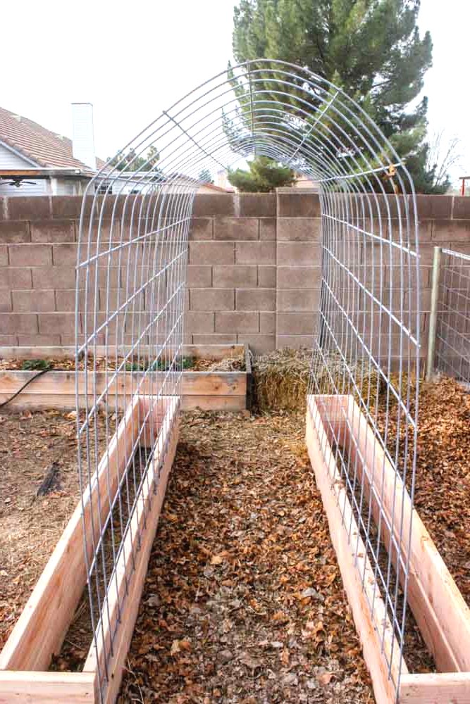 Грядка для огурцов или фасоли - фото 10