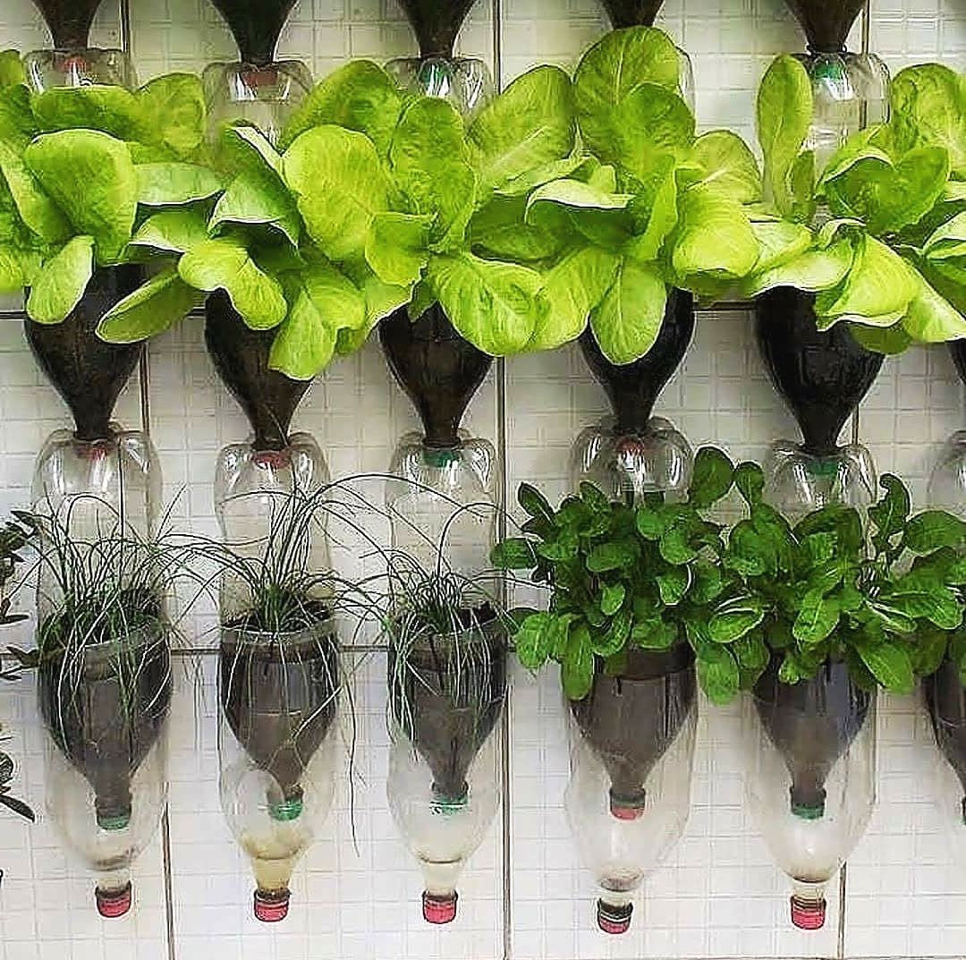 Что можно сделать из пластиковых бутылок? - фото 10