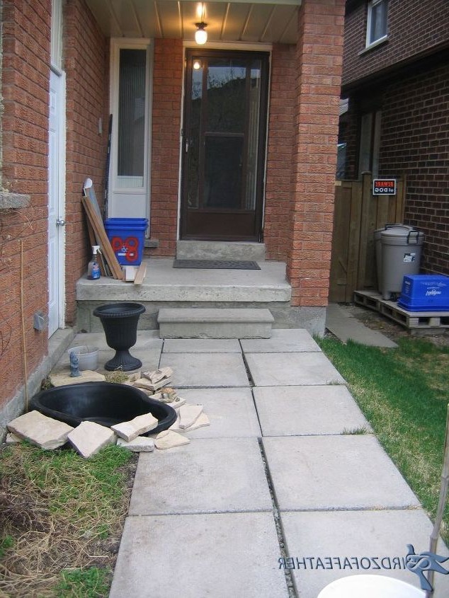 Небольшой пруд - фото 5