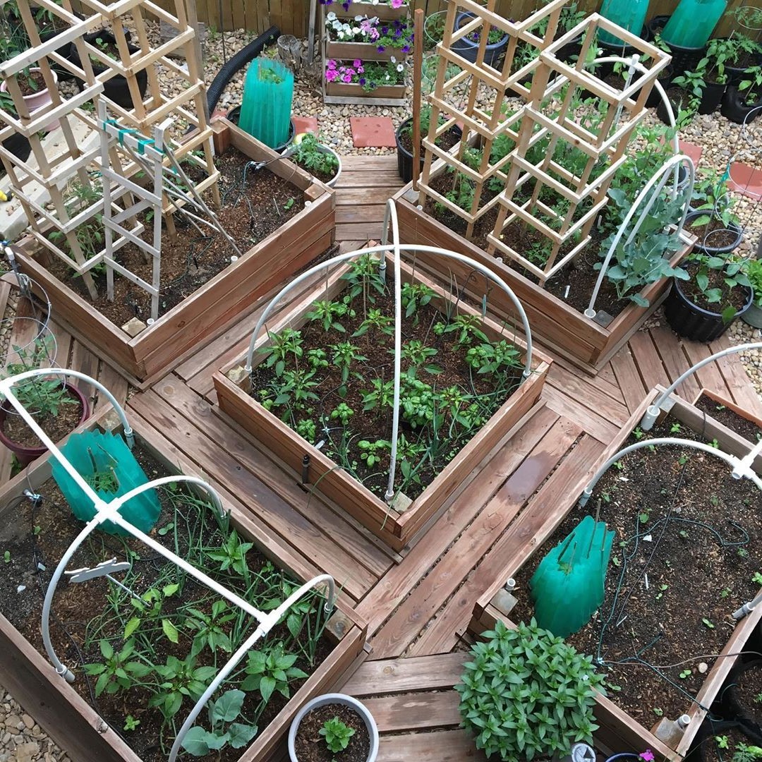 Планировка рассады - фото 5