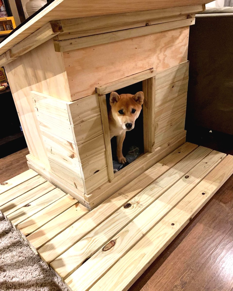 Необычные будки для собаки - фото 20