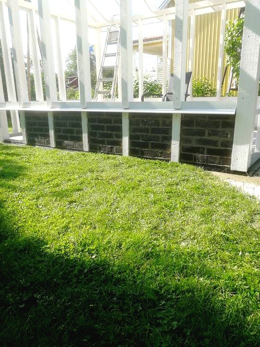 Необычная оранжерея - фото 4