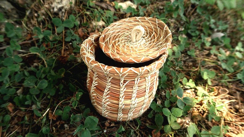 Необычная посуда из сосновых иголок - фото 2