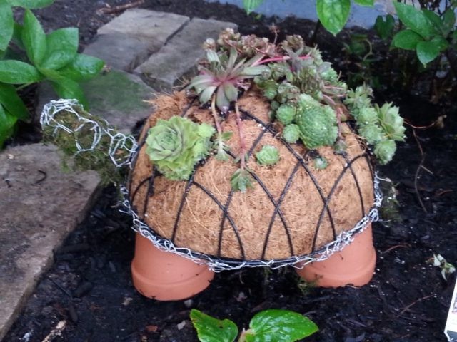 Как сделать черепаху - фото 5