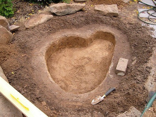 Садовый пруд - фото 2