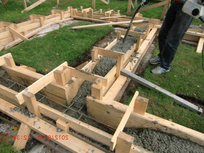 Оранжерея - фото 5