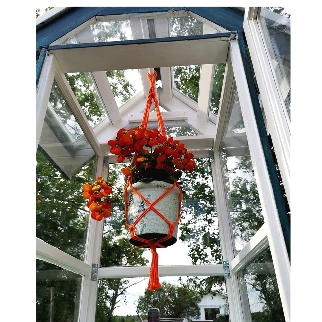 Мини теплица для улицы из оконных рам для комнатных цветов - фото 4