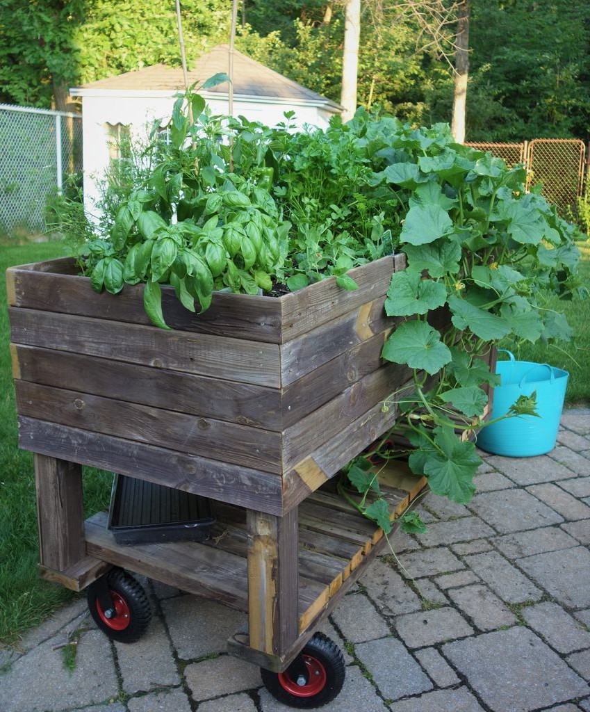 Грядка на колесах - фото 9